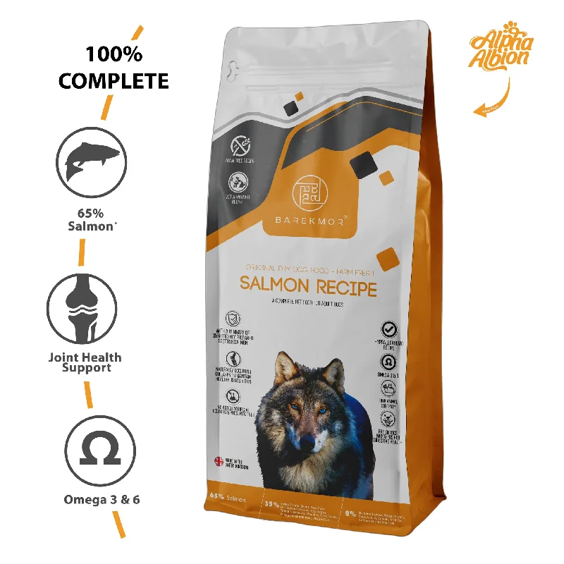 Barekmor: SALMON RECIPE : Original 65/35 Dry Dog Food (Adult) Freshly Prepared Salmon with Fruits and Veg