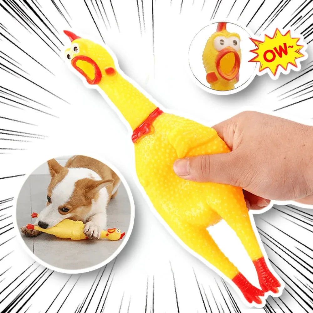 Funny Screaming Chicken Dog Chew Toy