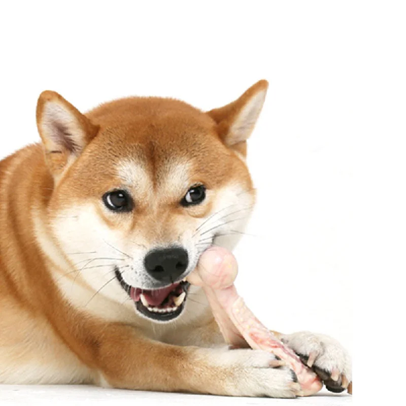 PAWS ASIA Lazada Hot Sale Innovative Lifelike Chicken Leg Teeth Cleaning Sustainable Dog Toys