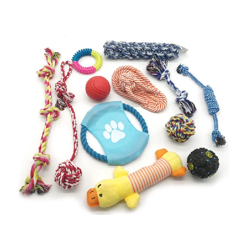 PAWS ASIA Manufacturers Chewing Interactive Eco Friendly Teeth Cleaning Assorted Dog Toy Set Rope