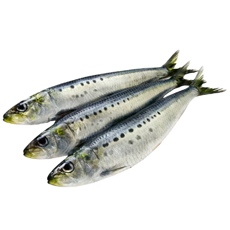 Whole Frozen Sardines - 1kg