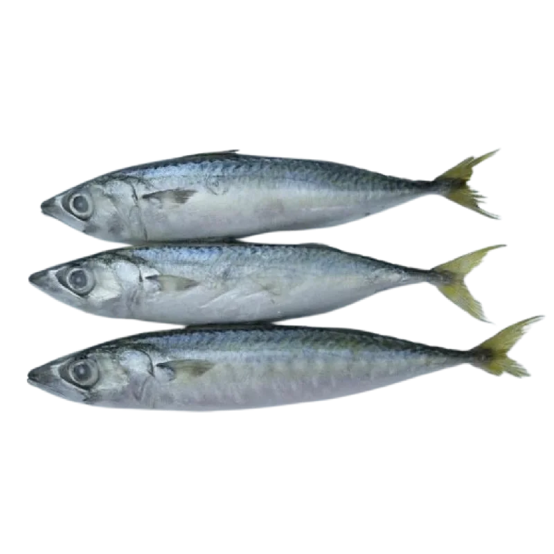 Whole Frozen Mackerel - 1kg