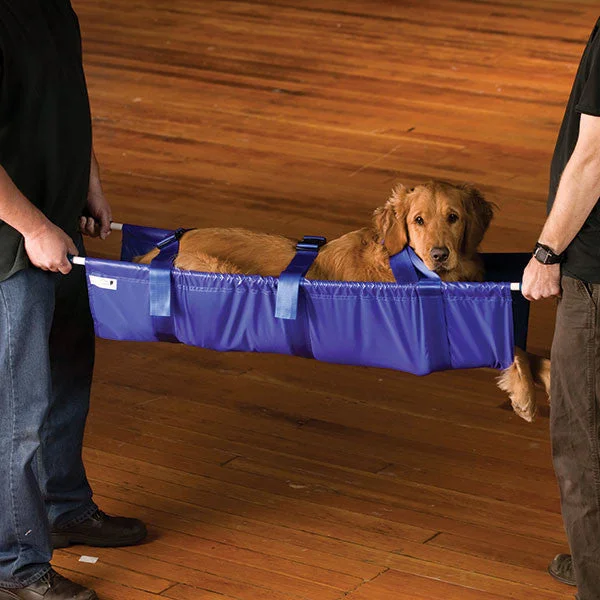 Pet Stretcher