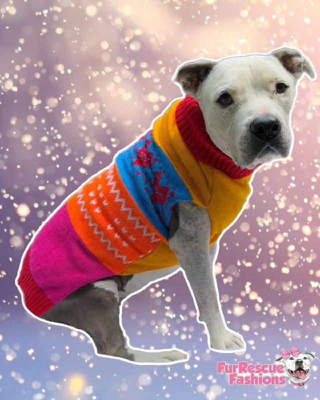 Rainbow Hearts Fair Isle Knit Dog Vest