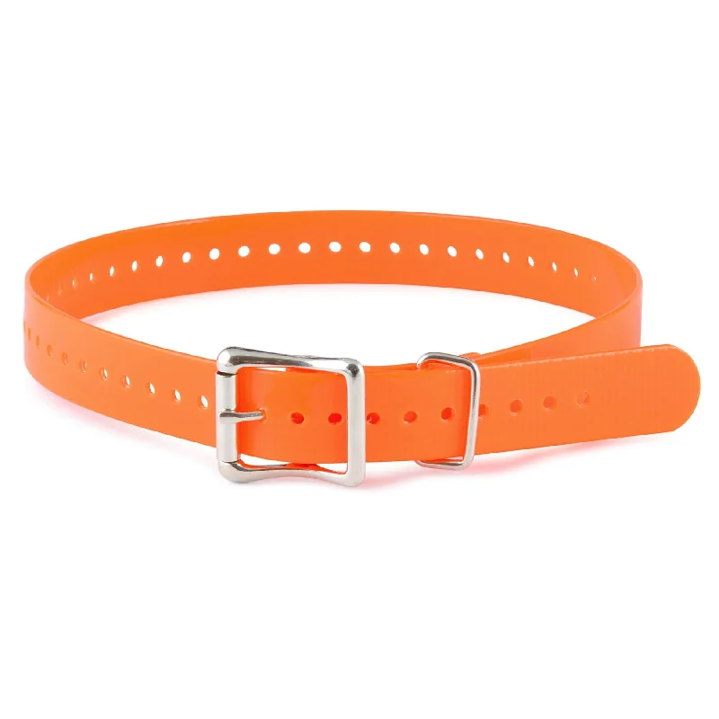 SportDOG Collar Strap, 1" x 27"