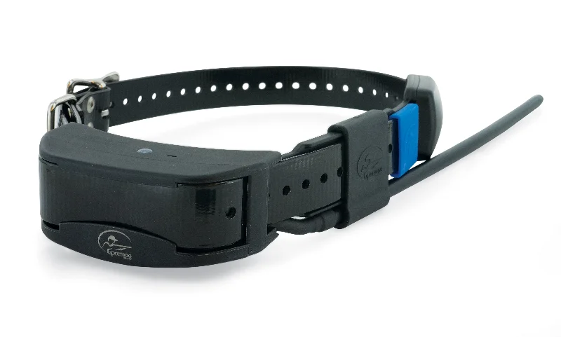 SportDOG Locate and Train Extra Collar