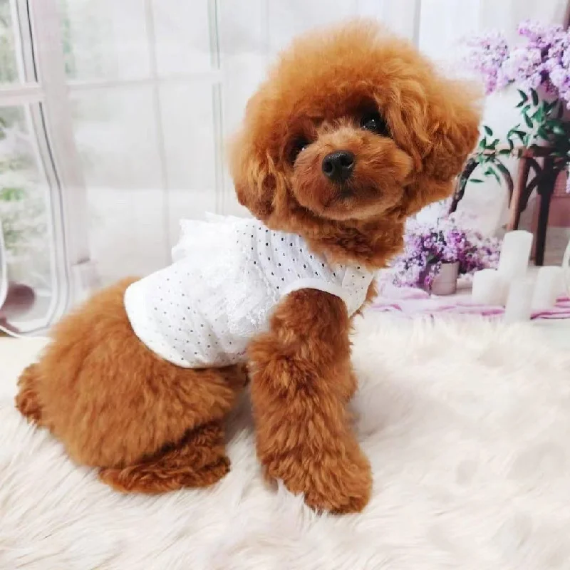 TaniWina White Lace Shirt Pet Clothes