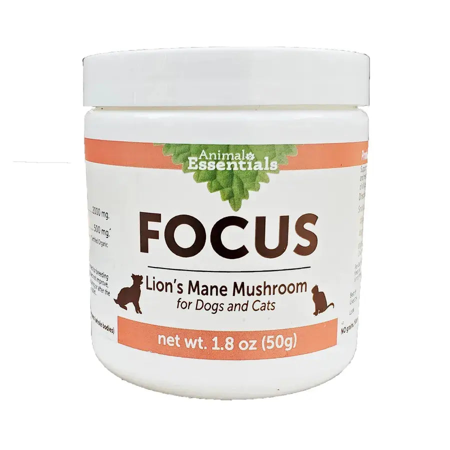 Animal Essentials Focus Lions Mane Cat & Dog Vitamin Supplement 80g