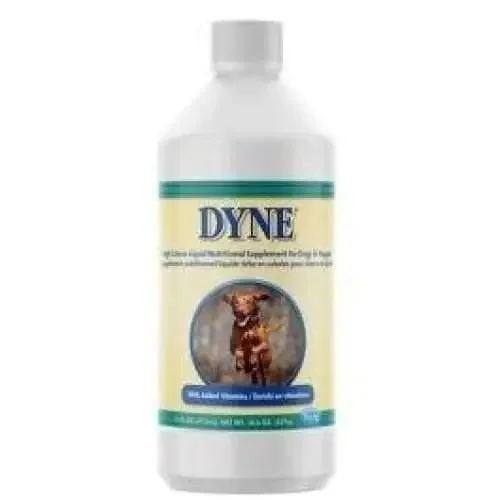 Pet-Ag DYNE High Calorie Nutritional Supplement Dog & Puppies