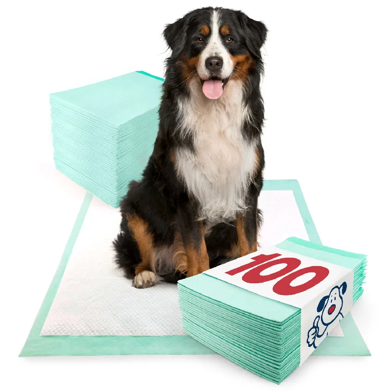 ValuePad Plus Puppy Pads, Extra Large 28x36 Inch, 100 Count