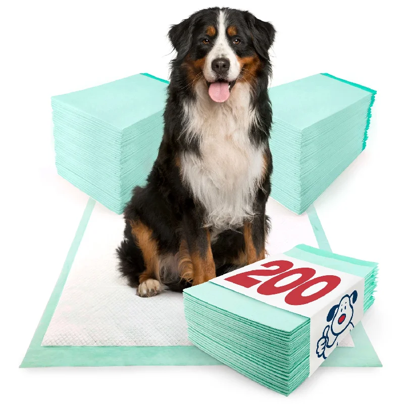 ValuePad Plus Puppy Pads, Extra Large 28x36 Inch, 200 Count BULK PACK